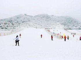 天津體育局學習《關于以2022年北京冬奧會為契機大力發展冰雪運動的意見》