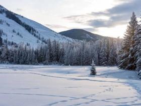 化冰雪資源為冰雪文化、冰雪經濟，盡展新疆魅力